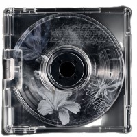 Ajsi Kasa - Lost in deception Ajsi Kasa - Lost in deception