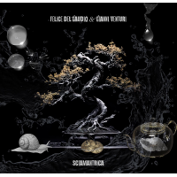 Felice Del gaudio e Gianni Venturi -  Sciamantrica