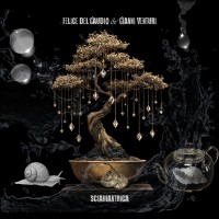 Felice Del gaudio e Gianni Venturi -  Sciamantrica