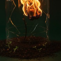 Isy Cartacio - Glass Bell